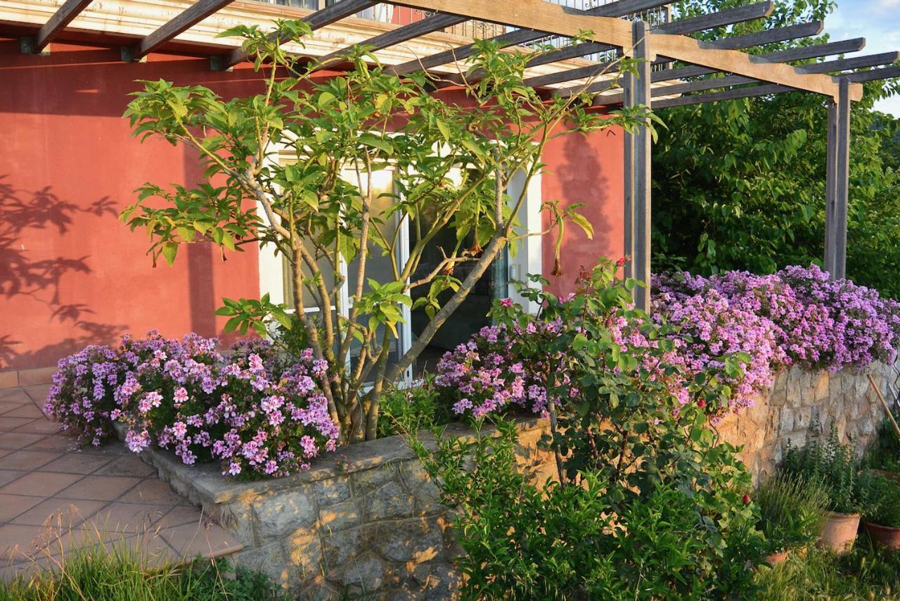 Appartamento L'Albaida, Tranquility, Views Of Sea And Mountains Vilanova de Escornalbou Esterno foto