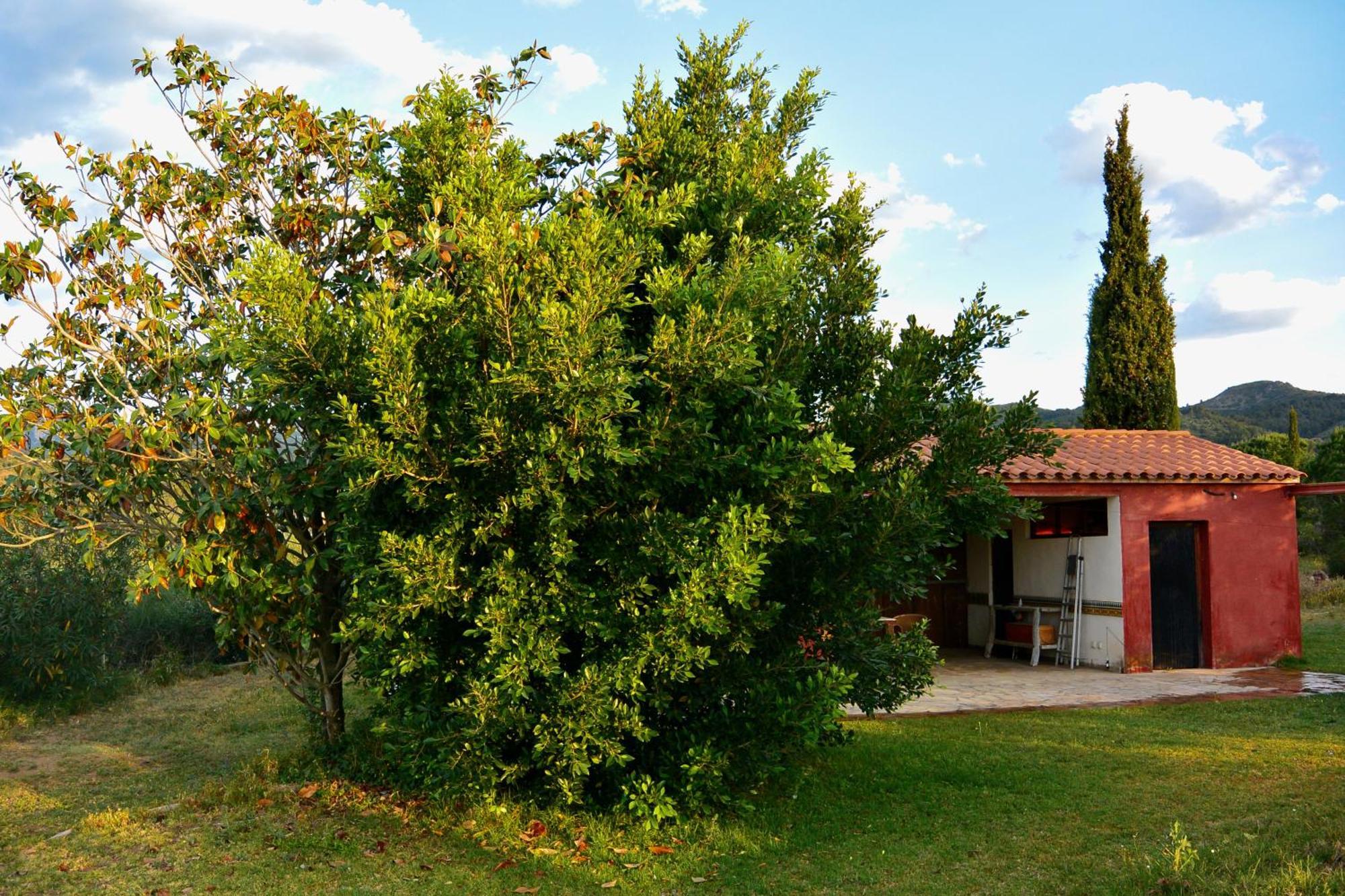 Appartamento L'Albaida, Tranquility, Views Of Sea And Mountains Vilanova de Escornalbou Camera foto