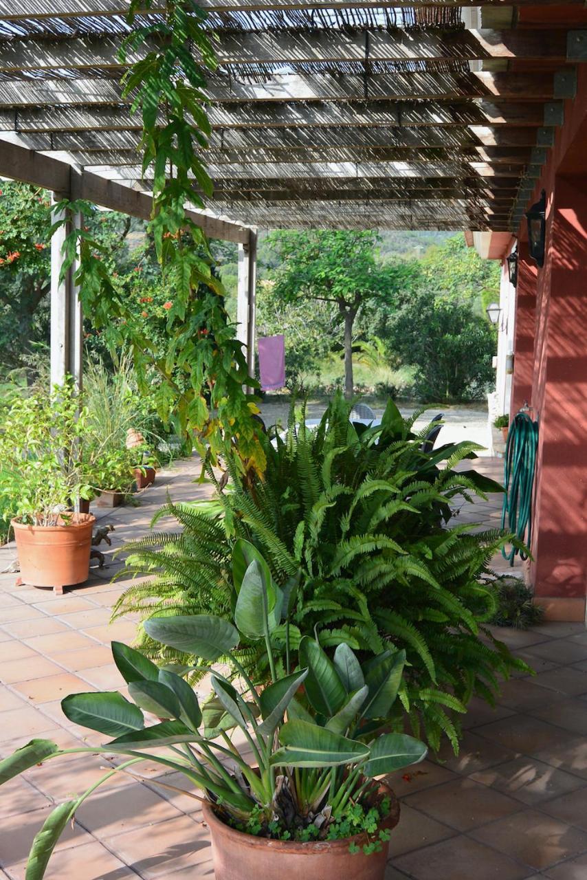 Appartamento L'Albaida, Tranquility, Views Of Sea And Mountains Vilanova de Escornalbou Esterno foto