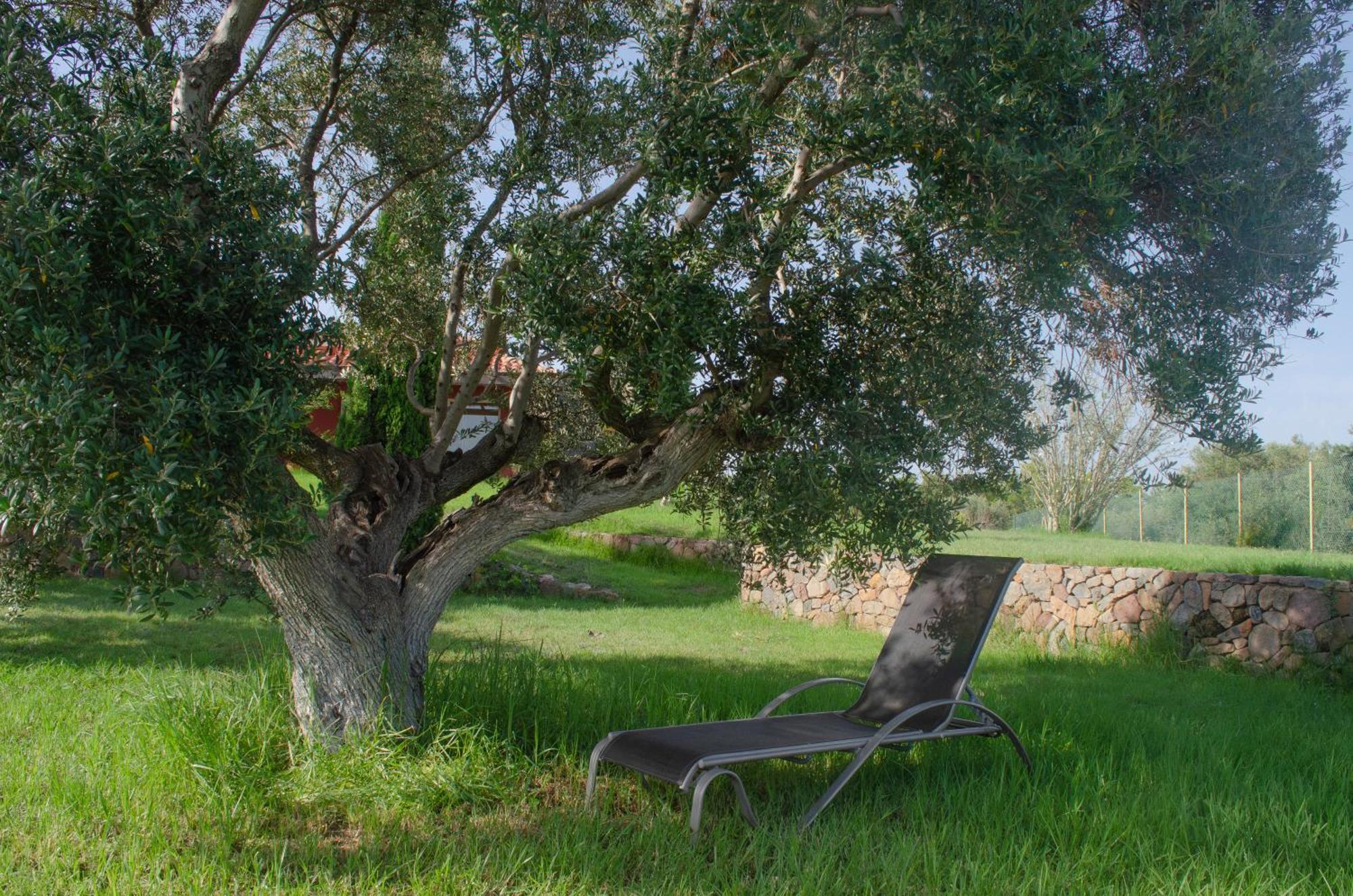 Appartamento L'Albaida, Tranquility, Views Of Sea And Mountains Vilanova de Escornalbou Esterno foto